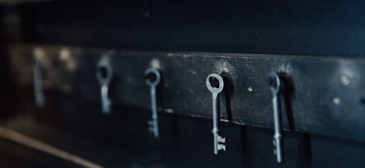 pexels-ron-lach-10473517