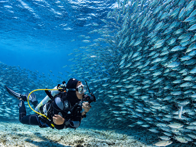 bonaire